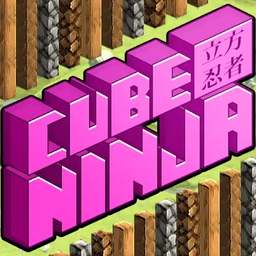 Cube ninja