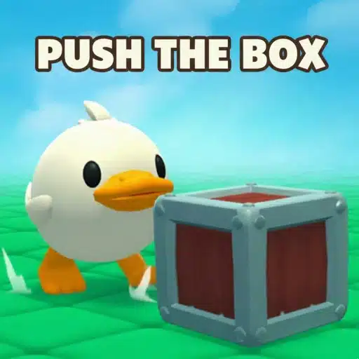 Push The Box 3D